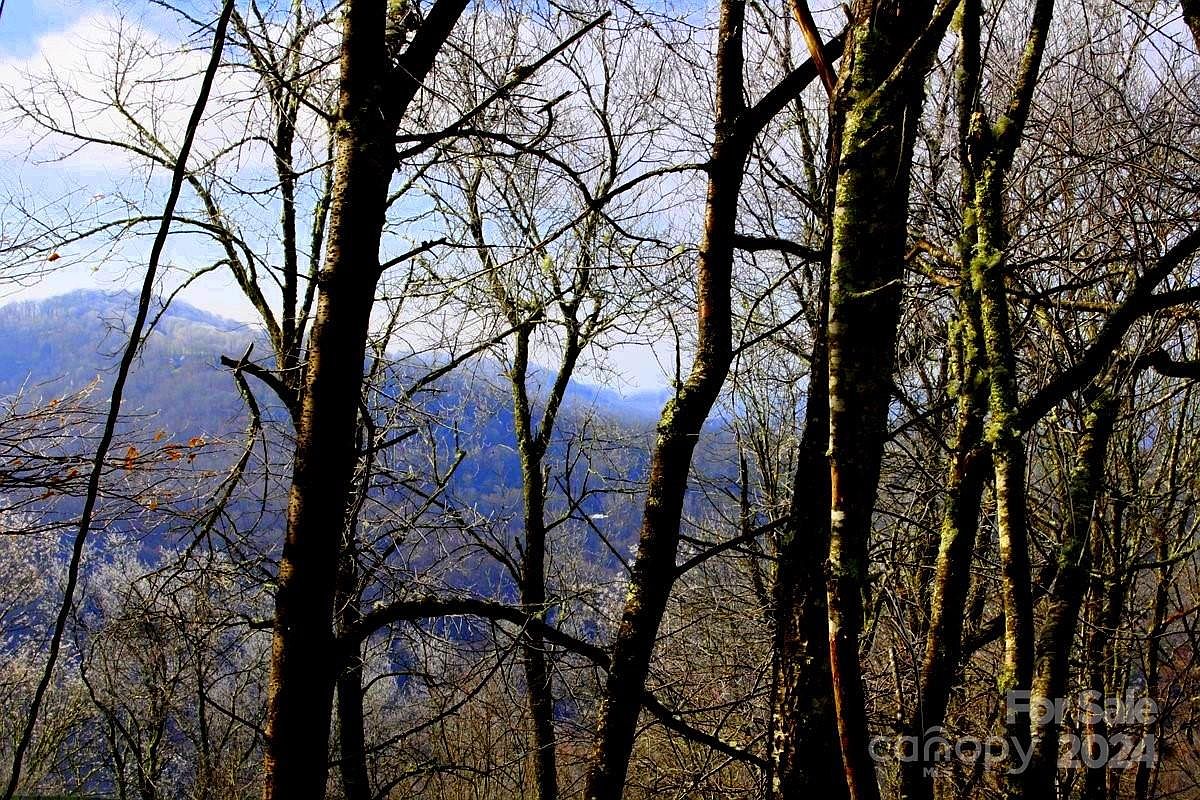 254 Grouse Thicket Rd Mars Hill NC 28754 Zillow