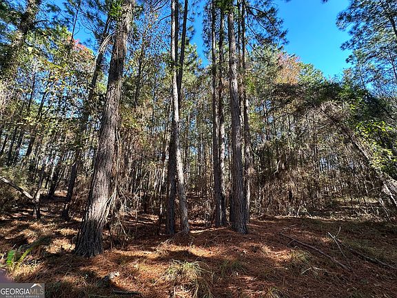 LOT 21 Cochran Hwy Eastman GA 31023 MLS 10231716 Zillow