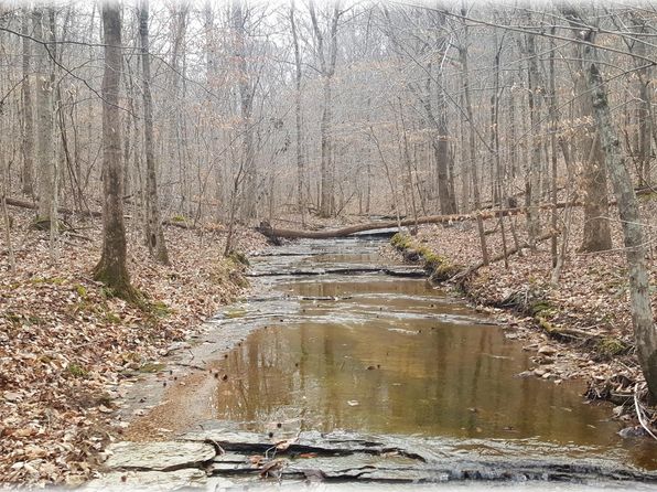 8364 Old Pond Creek Rd,佩格拉姆,TN 37143