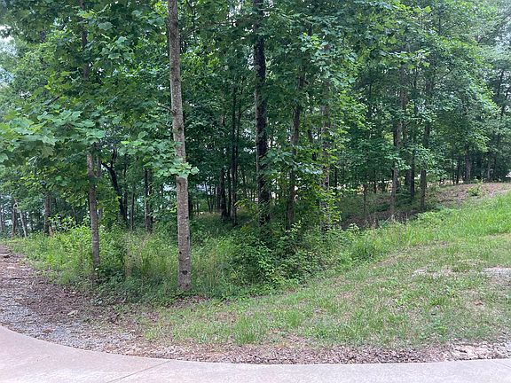 Dismal Road Co Rd 204 Arley AL 35541 MLS 24 660 Zillow