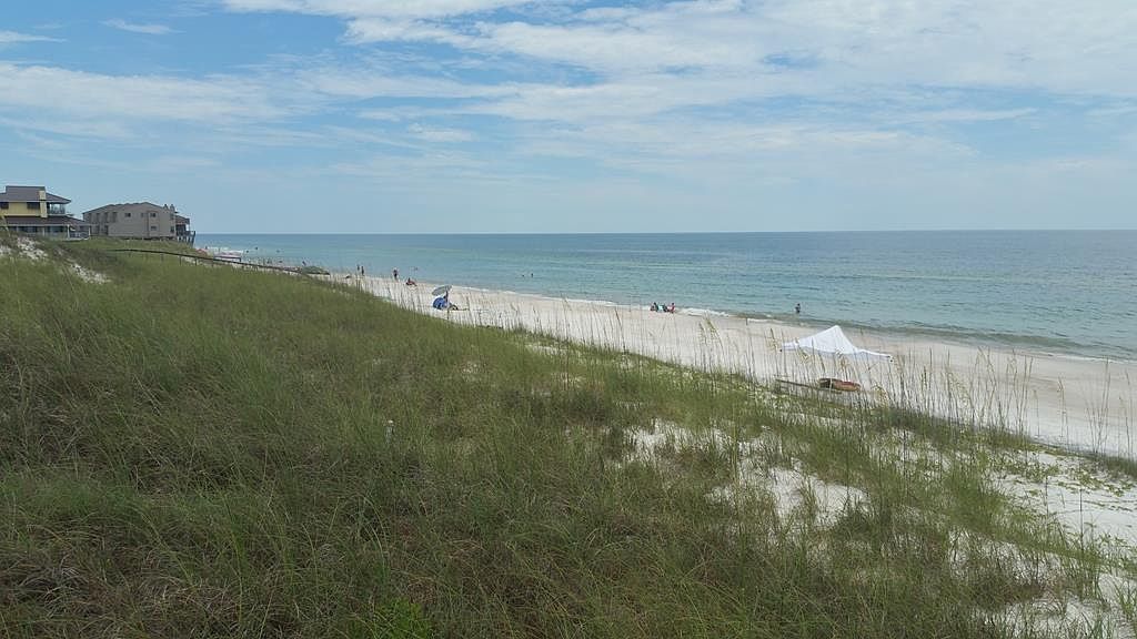 6 Gulf Hibiscus Dr Cape San Blas Fl 32456 Mls 302337 Zillow 6 Gulf Hibiscus Dr Cape San Blas Fl