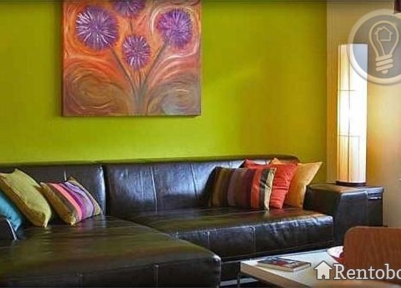 Cottages At Tulane Apartments Plano Tx Zillow