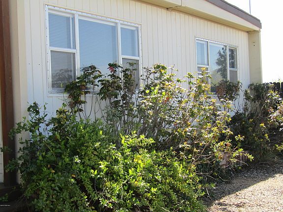 Modern Bungalow Redux Modern San Francisco By Timon Phillips Design Wood Siding Exterior Modern Bungalow House Exterior