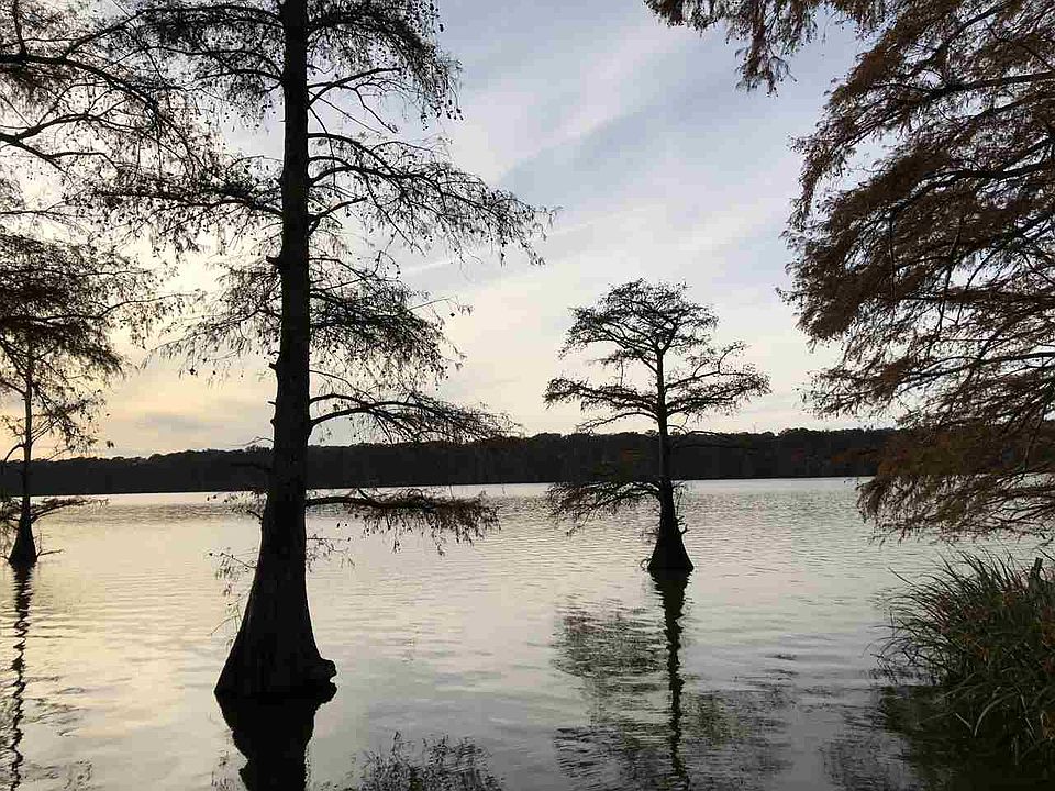 0 Lake Bolivar Rd, Benoit, MS 38725 MLS 315165