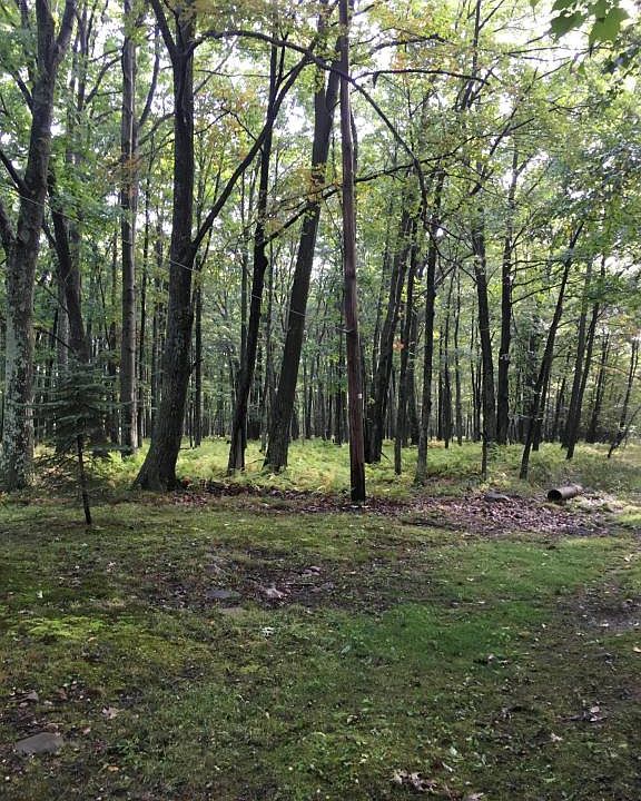 Bear Creek Pa >> Forest St Bear Creek Pa 18702 Mls 16 5101 Zillow Bear Creek Pa >> Forest St Bear Creek Pa 18702 Mls 16 5101 Zillow