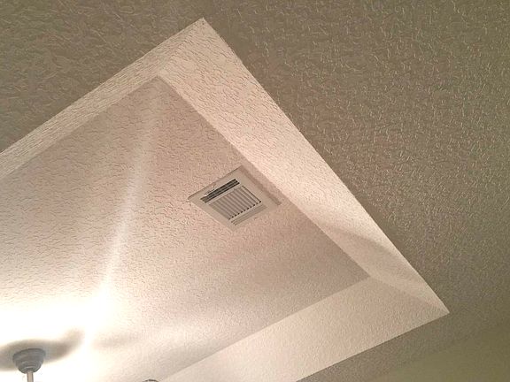 Tray ceiling in dining room 