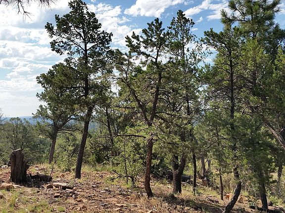 4th image of 3413 Ponderosa Loop Lot 130