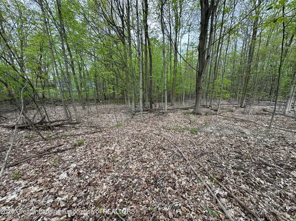 0 Thornapple Dr, Perrinton, MI 48871