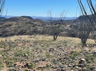 Cougar Pass #113/115, Tubac, AZ 85646