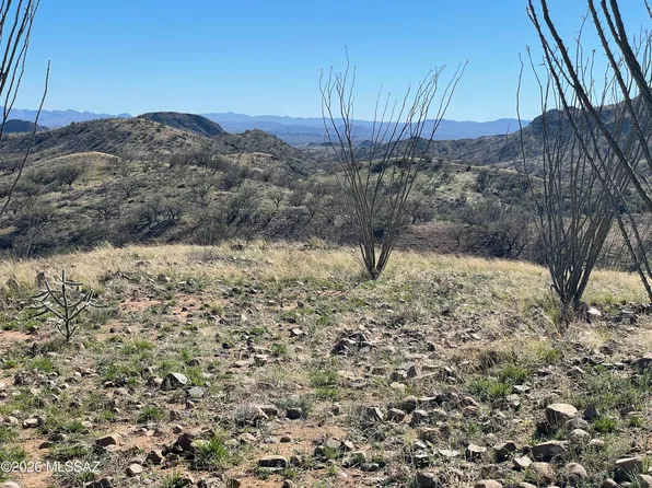 Cougar Pass #113/115, Tubac, AZ 85646