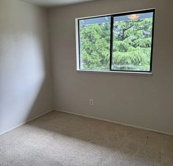 5019 139th Pl NE — Photo 11