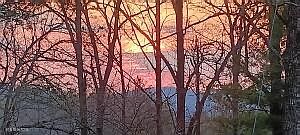 2nd image of 132 Sugar Maple Way #46