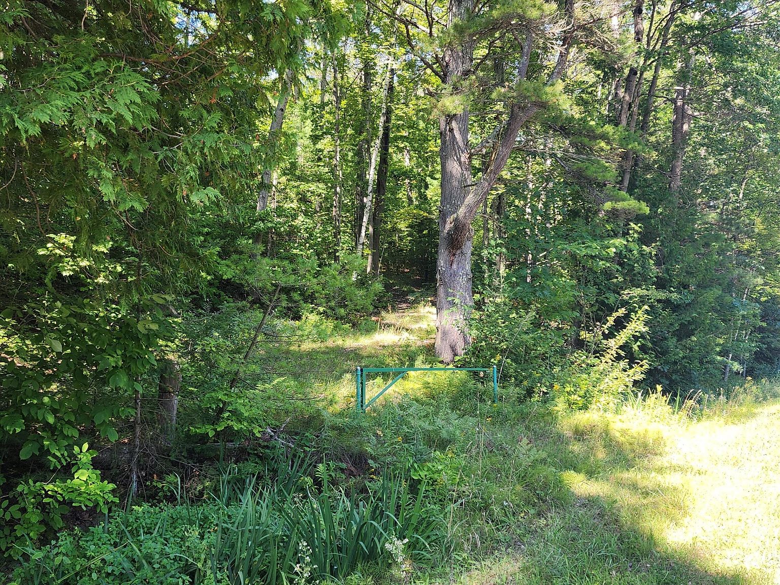 2575 Lakeshore Dr, Harrisville, MI 48740 MLS 201826177 Zillow