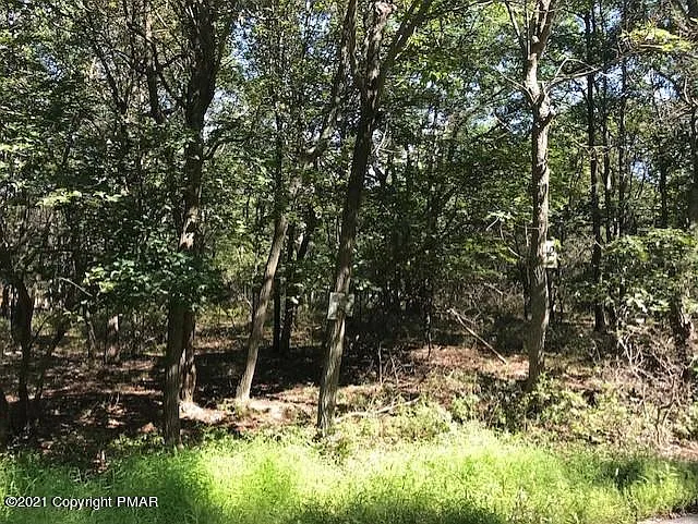128 Spencer Ln photo 1