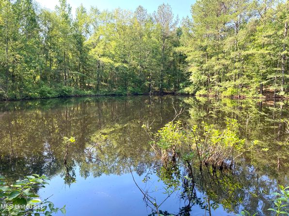 0 Davidson Rd, Walnut Grove, MS 39189