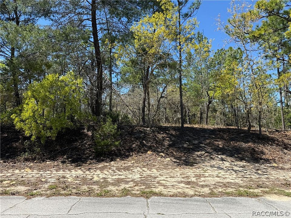 2nd image of 10776 N Moreno Dr