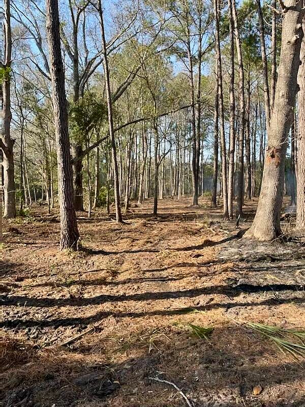 15275 Point Rd, Green Pond, SC 29446 Zillow