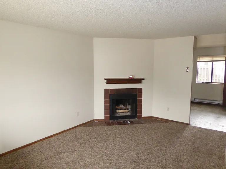 1640 E Pitkin St #C — Photo 4