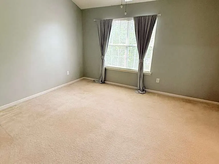 11536 Delores Ferguson Ln — Photo 12