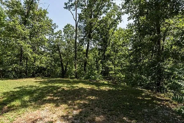 261 Aaron Ln — Photo 11