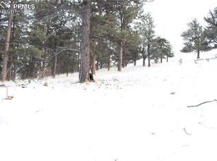 452 Birch St, Hartsel, CO 80449