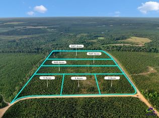 PARCEL 12 Carl Rodgers Rd, Reynolds, GA 31076