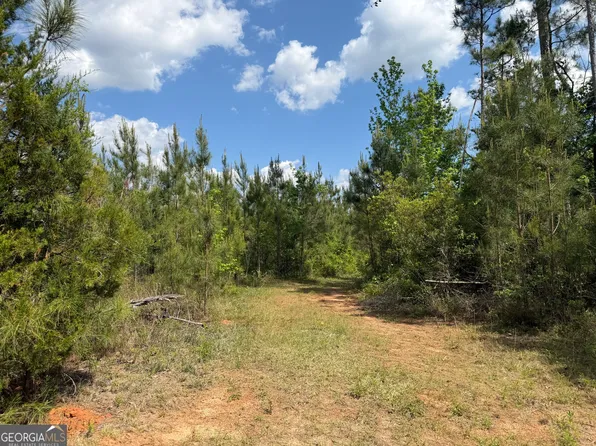 1 George Milling Rd, Cuthbert, GA 39840