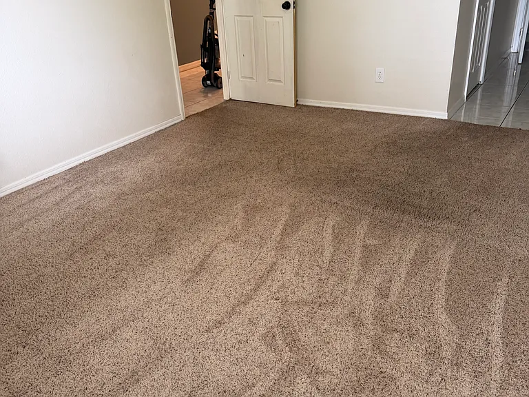 35245 Janine Dr — Photo 11