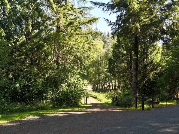 0 Gibson Creek Road, Oakville, WA 98568