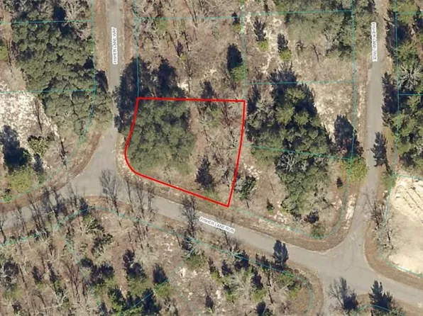 0 FISHER LANE RUN LOT 1, OCKLAWAHA, FL 32179