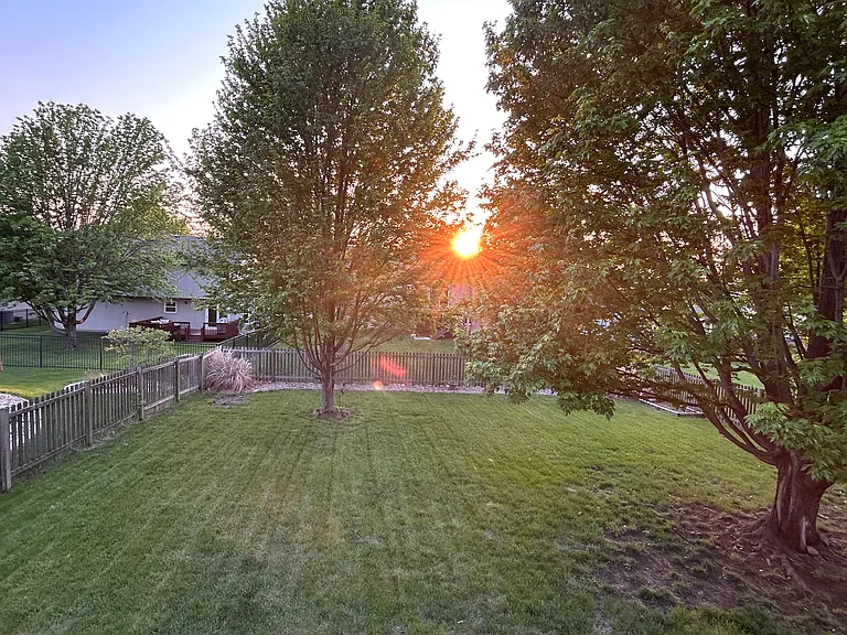 Evening sunsets!