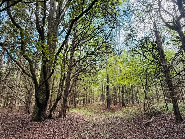 330 Highway, Tillatoba, MS 38961