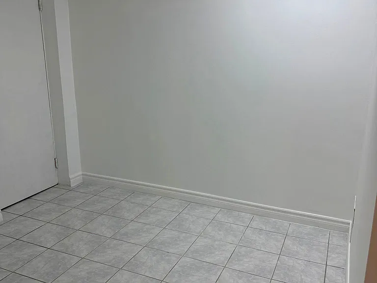 259 Tall Grass Trl #BASEMENT — Photo 10