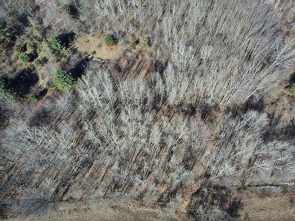 5th image of 1545AC S Shepherd Rd