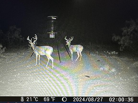 2nd image of 1335 Ocelot Rd #See