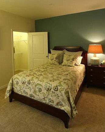 Spacious and Cozy Guest