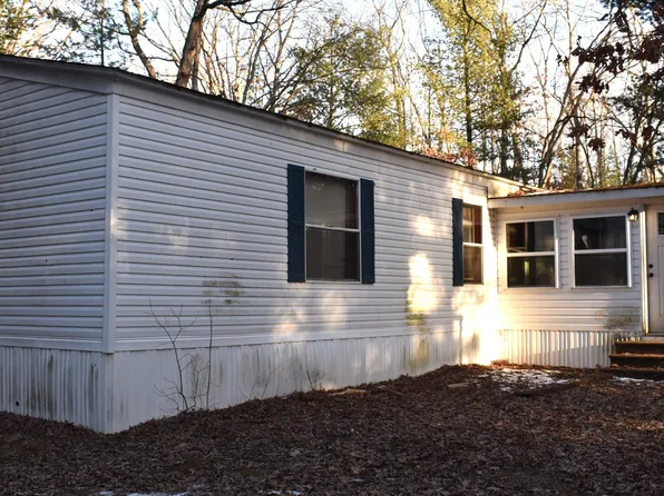 6595 Gooselake Rd, Indian River, MI 49749