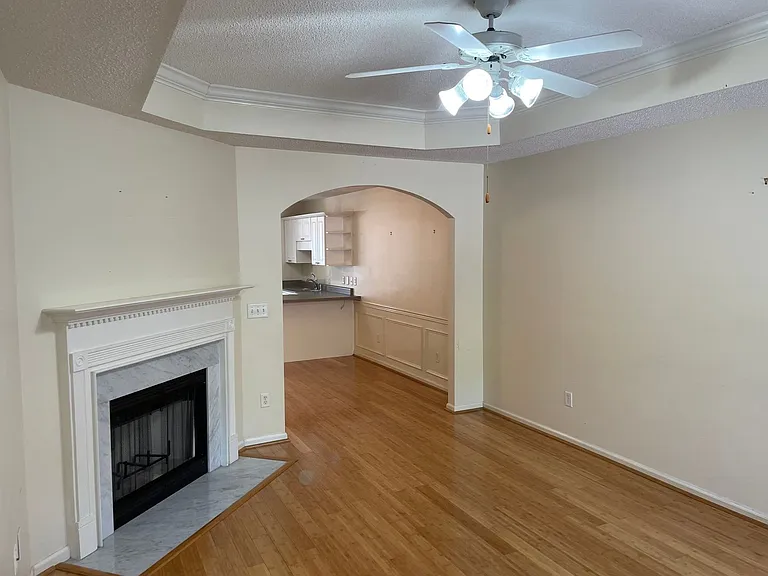 314 Coales Branch Cir — Photo 4