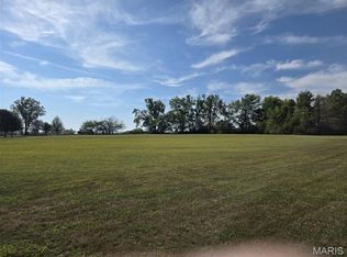 6 Stone St, Park Hills, MO 63601