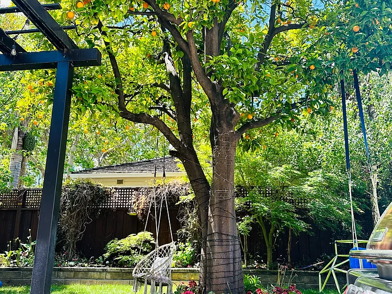 1097 Camino Pablo — Photo 37