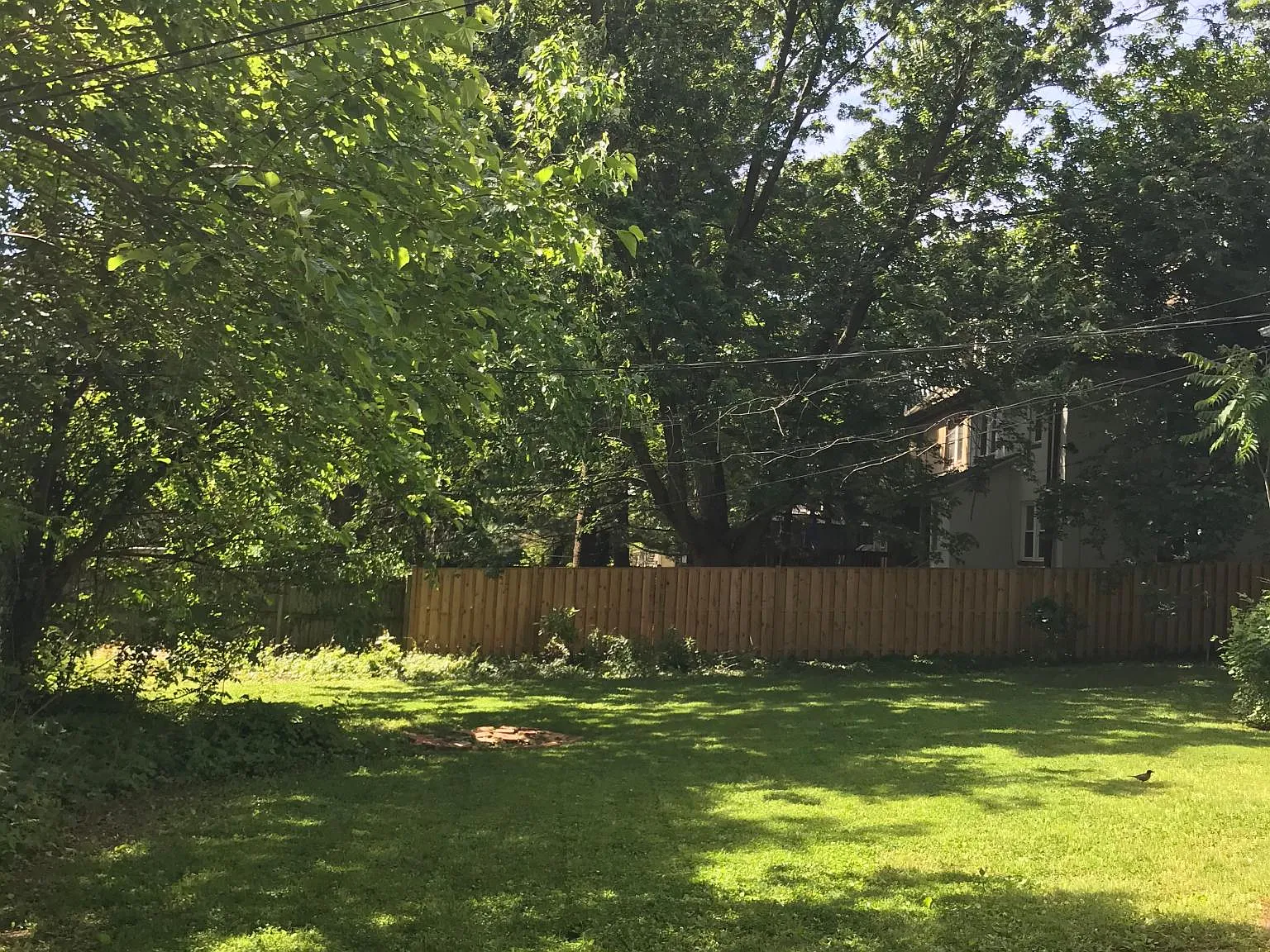 4123 Roland Ave — Photo 4