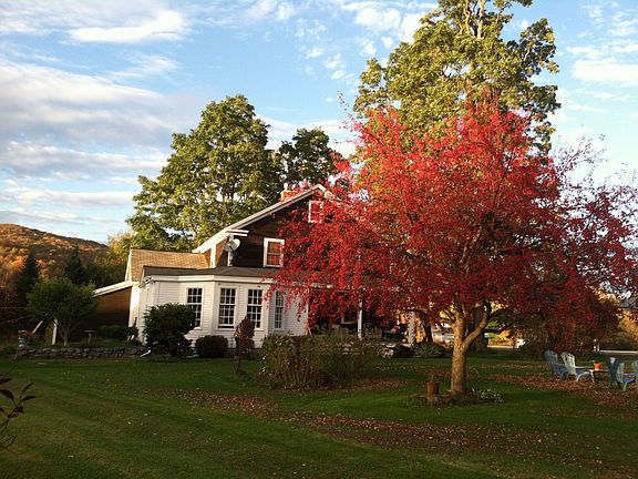 Crabapple in fall