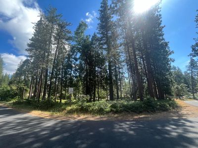 400 Blackbird Ln, Avery, CA, 95224