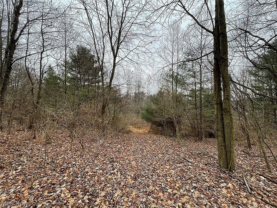 1st image of Parks Ave SE
