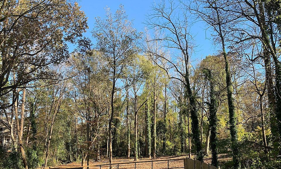 1st image of 432 Hunter Ln