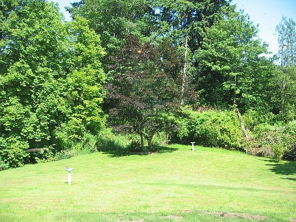 View from deck to creek