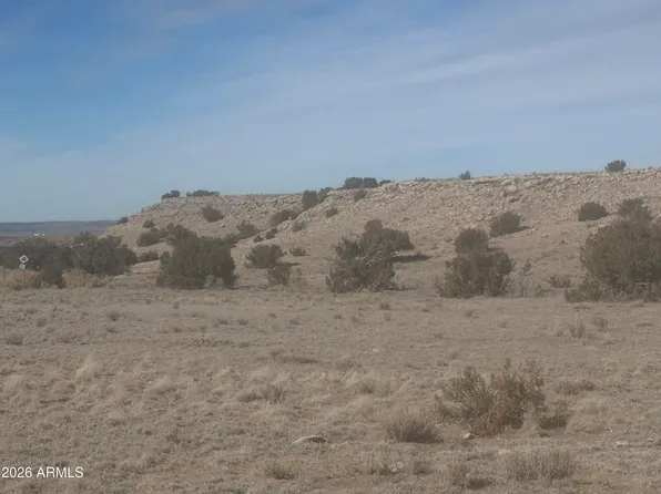 Lot 138 River Springs Ranch -- #138, St Johns, AZ 85936