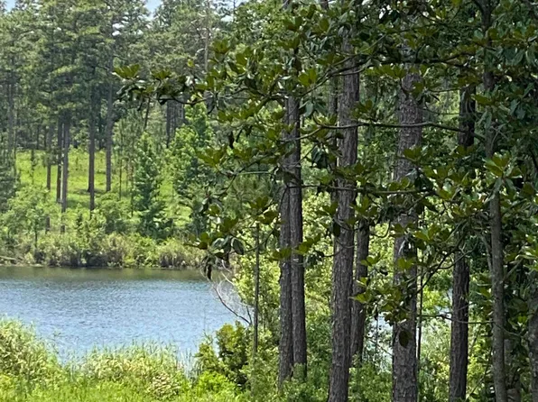 34 Steelwood Ridge Rd #34, Loxley, AL 36551