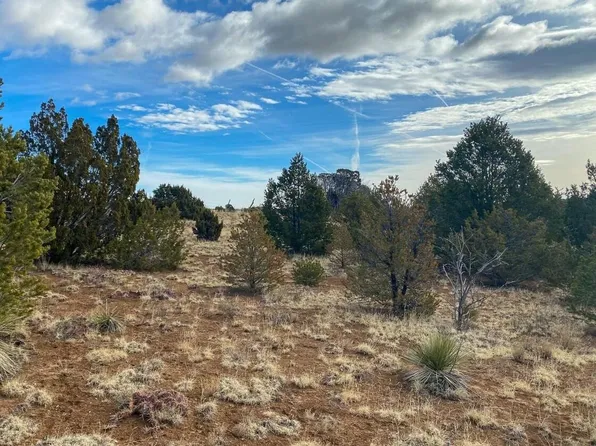 230 Mora Rd, Tijeras, NM 87059