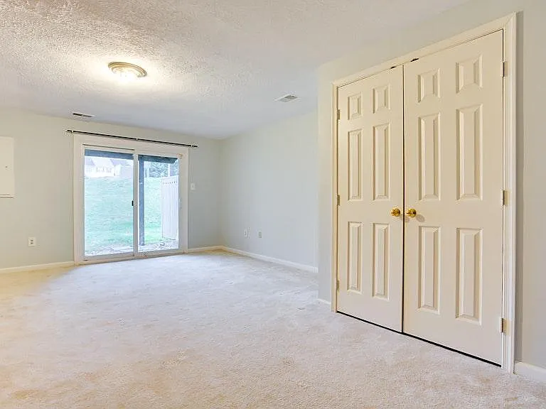 Family Room (Lower Level)